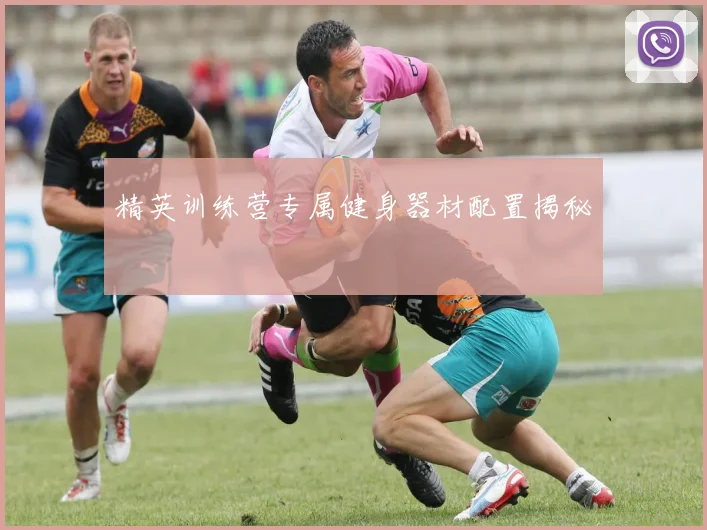 精英训练营专属健身器材配置揭秘